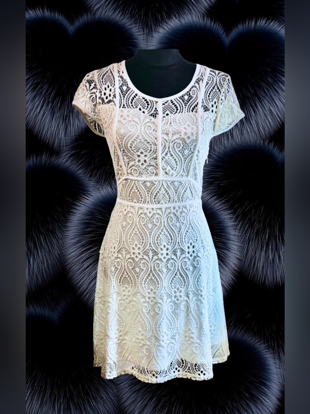 Liberty Love Cream Lace Illusion Neck Mini ALine Skater Dress Small Bridal Party